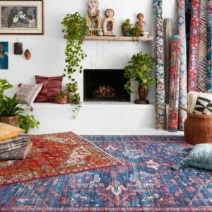 Loloi rug | Corvin's Floors & Cabinets