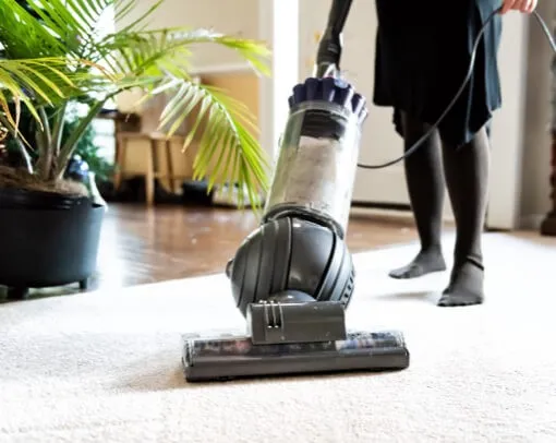 Carpet care | Corvin's Floors & Cabinets